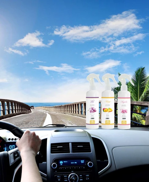 Çilek Kokusu Oto Kokusu Spreyli Araç Oda Ve Ortam Kokusu 400 Ml Kalıcı Uzun Ömürlü - Resim 2