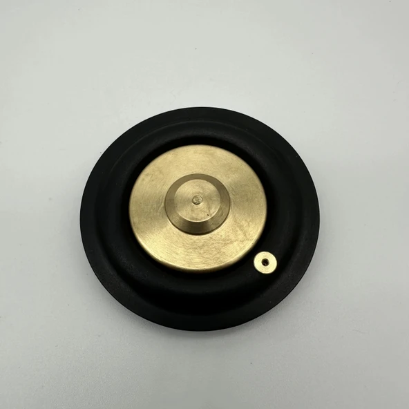 Solenoid Valf Gm Nbr Diyaframı 1" - Resim 5