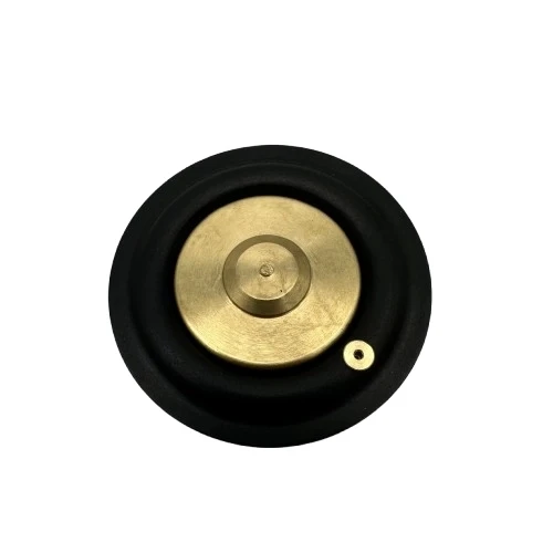 Solenoid Valf Gm Nbr Diyaframı 1"