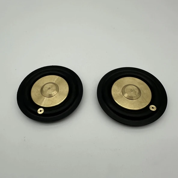 Solenoid Valf Gm Nbr Diyaframı 1" - Resim 2