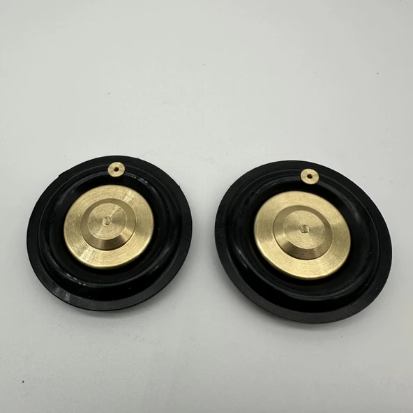 Solenoid Valf Gm Nbr Diyaframı 1" - Resim 3