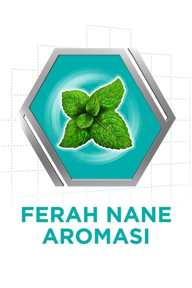 Corega Süper Protez Yapıştırıcı Krem Naneli 40gr - 2