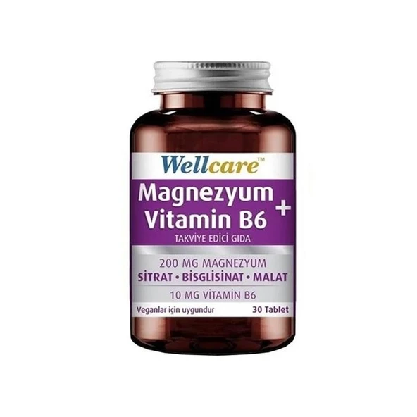 Wellcare Magnezyum + Vitamin B6 30 Tablet ürün görseli