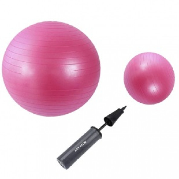 65 Cm Pembe + 25 Cm Pilates Topu 2'li Set