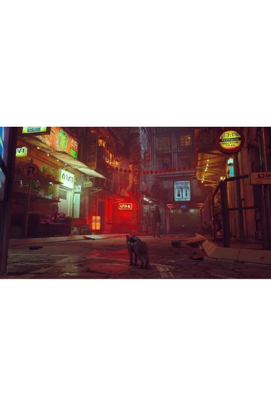 annapurna  Stray Ps4 Oyun - 3