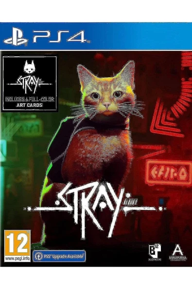 annapurna  Stray Ps4 Oyun
