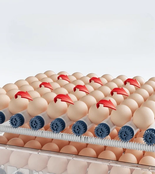 60 Yumurta Kapasiteli Tam Otomatik Kuluçka Makinesi - Civciv, Kaz, Hindi Ve Ördek Yetiştiriciliği Epo-w60 - Resim 3