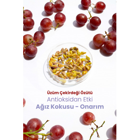 Probident Probiyotik Diş Macunu Üzüm Çekirdeği Özüt İlaveli - 3