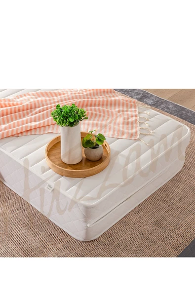 HÜZZAM  80x200 Ikea Divan Hemnes Uyumlu. Katlanır Ortopedik Sünger Yatak. 160x200x12 Cm - 2