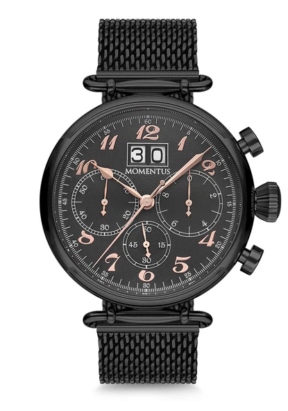 Momentus TM250N-05SR Erkek Kol Saati ürün görseli 1