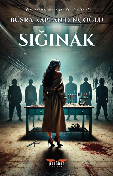 Sığınak - Büşra Kaplan Dinçoğlu, Perseus Yayınevi, ürün görseli