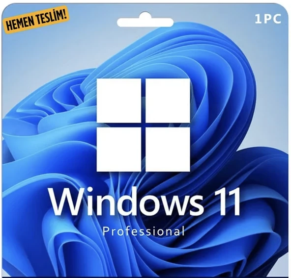 Windows 11 Pro