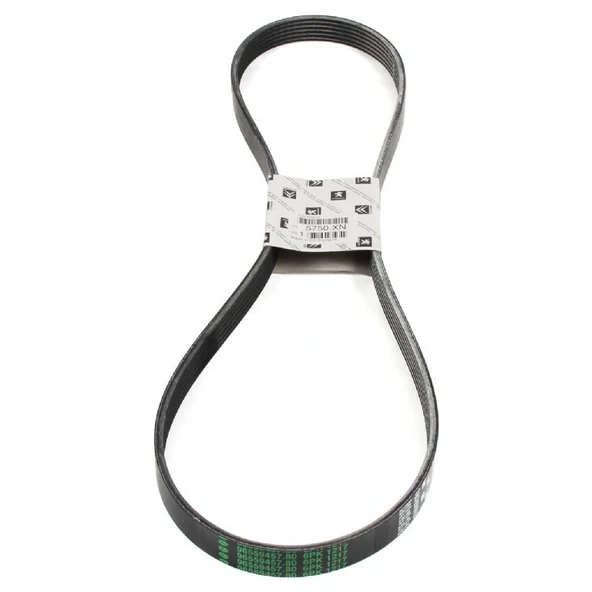 Peugeot 407 2.0 Hdi V Kayışı Orjinal ürün görseli