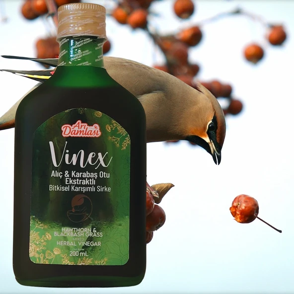Arı Damlası Vinex 200 ml Alıç & Karabaş Otu Ekstraktlı Bitkisel Karışımlı Sirke