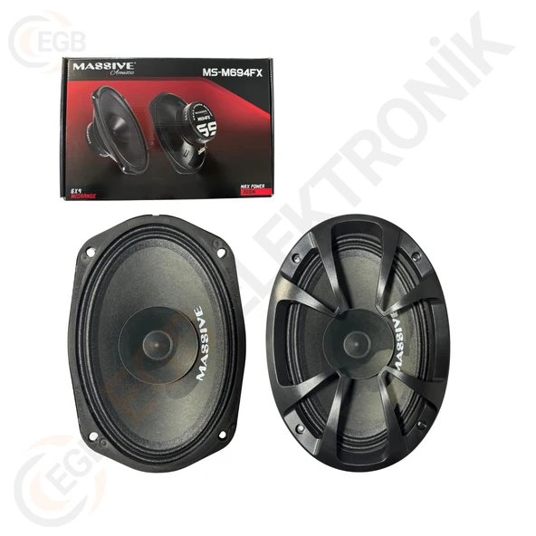 MASSİVE MS-M694FX 300W MİDRANGE ÇİFT - Resim 3