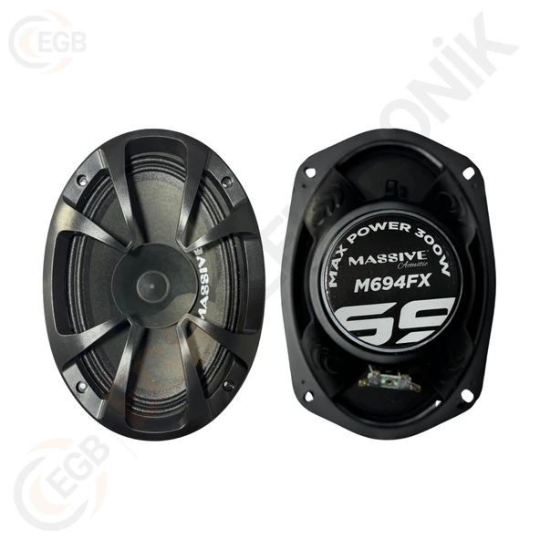 MASSİVE MS-M694FX 300W MİDRANGE ÇİFT - Resim 2
