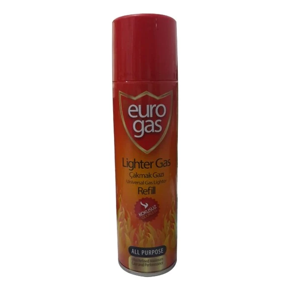 Kamp Ocağı Gazı - 250 ml - Resim 2