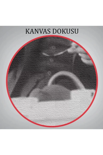 Atatürk Portre Tablosu Mustafa Kemal Atatürk Dikdörtgen Dekoratif Kanvas Tablo-EZ-124 - 5