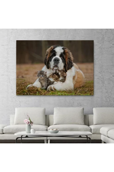 St. Bernard  Köpek ve Yavru Kediler Dekoratif Kanvas Tablo 1124 - 2