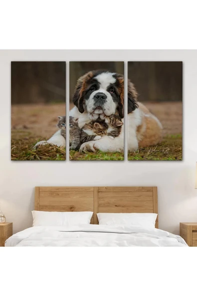 St. Bernard  Köpek ve Yavru Kediler Dekoratif Kanvas Tablo 1124 - 3