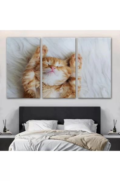 Yavru Kedi Dekoratif Kanvas Tablo 1125 - 3