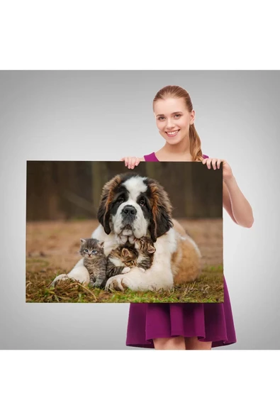 St. Bernard  Köpek ve Yavru Kediler Dekoratif Kanvas Tablo 1124 - 4
