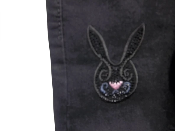 TAVŞAN NAKIŞLI TAŞ İŞLEMELİ JEANS KIZ PANTOLON - Resim 4