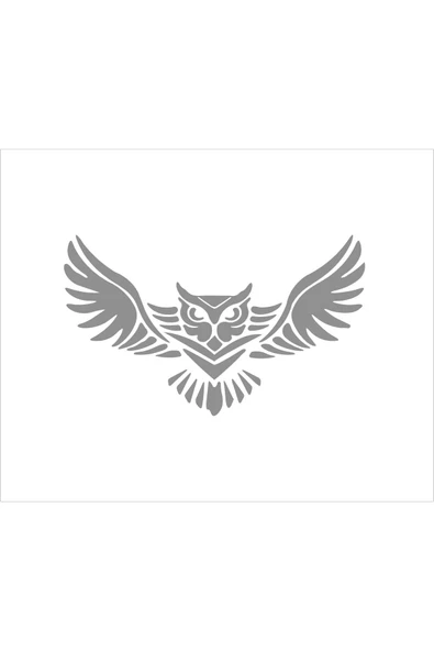SEÇ Baykuş Sticker Oto Sticker