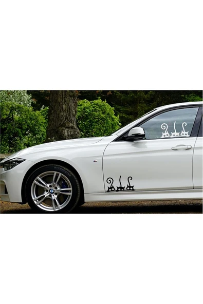 SEÇ Bağajdan Bakan Sevimli Kediler Sticker Çok Amaçlı Sticker - 4