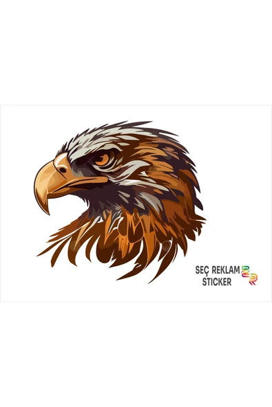 SEÇ Kartal  Sticker Çok Amaçlı Sticker Araç Sticker