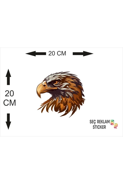 SEÇ Kartal  Sticker Çok Amaçlı Sticker Araç Sticker - 2