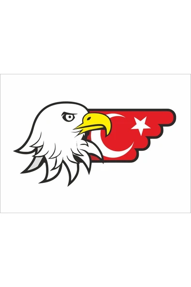 SEÇ Kartal ve Türk Bayrağı Renkli Sticker Çok Amaçlı Sticker Etiket ürün görseli