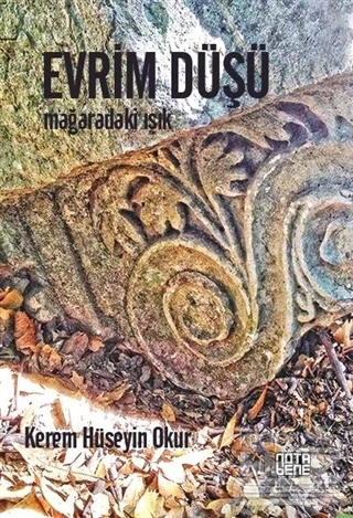Evrim Düşü