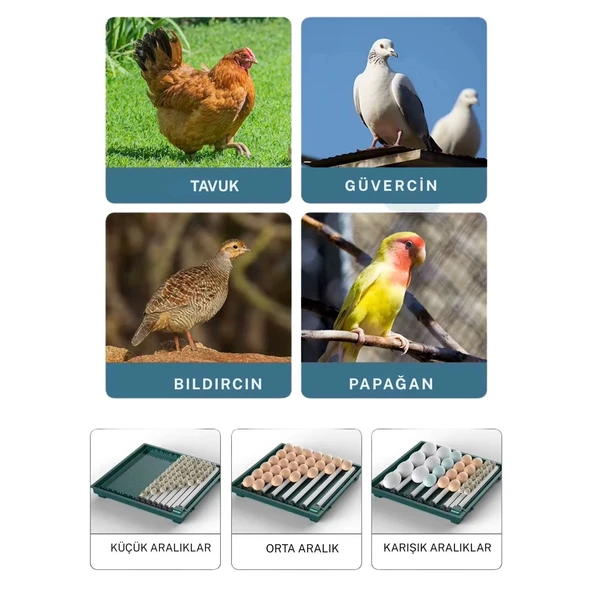 Slim Model 130’lu Gün Sayaçlı Tam Otomatik Kuluçka Makinesi – Yedek Motor + Su Kabı + Qr Videolu Kurulum - 8