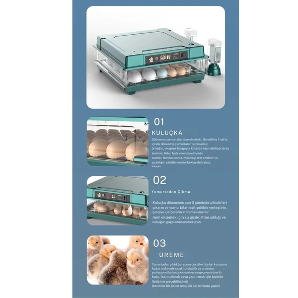 Slim Model 130’lu Gün Sayaçlı Tam Otomatik Kuluçka Makinesi – Yedek Motor + Su Kabı + Qr Videolu Kurulum - 7