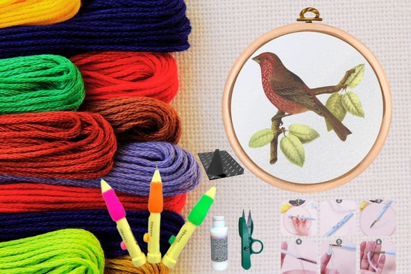 Punch Seti Nakış Seti Kasnaklı Kendin Yap Seti Seri 24 ürün görseli