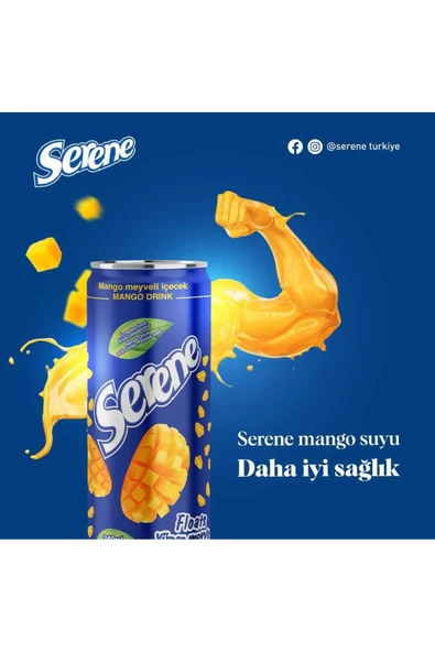 SERENE PARÇACIKLI PORTAKAL SUYU 240 ML (24 ADET) - 6