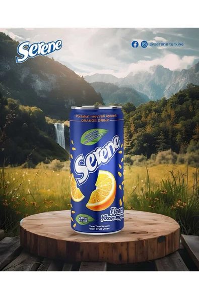 SERENE PARÇACIKLI PORTAKAL SUYU 240 ML (24 ADET) - 8