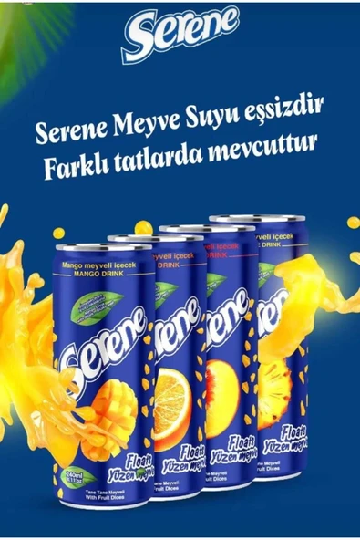 SERENE PARÇACIKLI PORTAKAL SUYU 240 ML (24 ADET) - 5