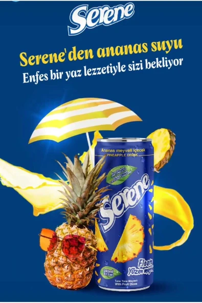 SERENE PARÇACIKLI PORTAKAL SUYU 240 ML (24 ADET) - 2