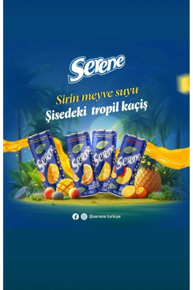 SERENE PARÇACIKLI PORTAKAL SUYU 240 ML (24 ADET) - 4