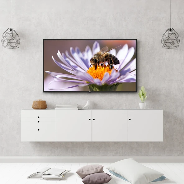 Next YE-42020G6 Full HD 42" 106 Ekran Uydu Alıcılı LED TV - 3