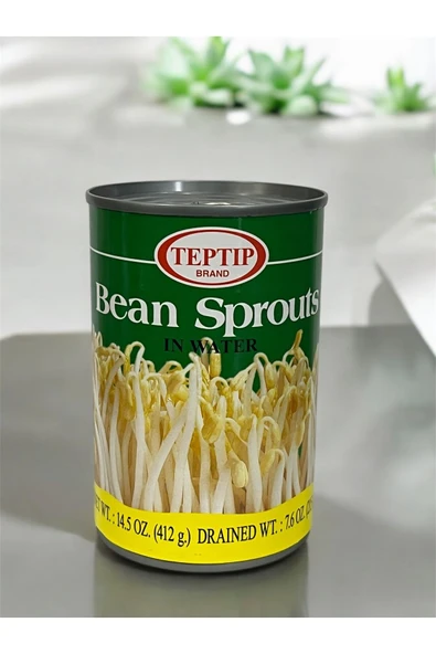 Teptip Soya Filizi 412 gr