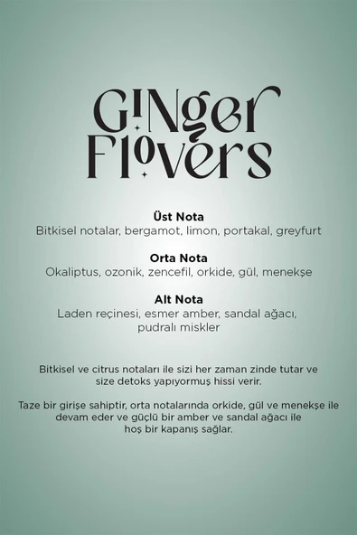 Carpex E2 Power Eco Koku Makinesi ve Ginger Flowers E2 Power Koku Kartuşu 125 ML Seti - Resim 5
