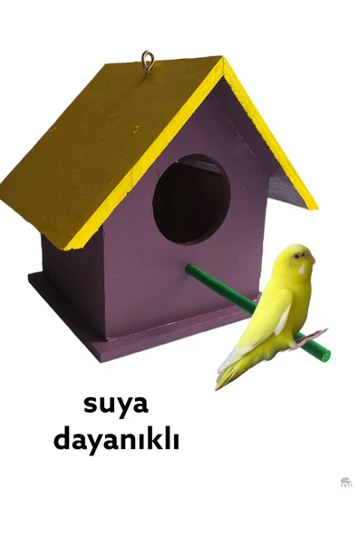 ncy Ahşap Kuş Evi Kuş Yuvası Muhabbet Kuşu Dış Mekan Suya Dayanıklı 15x15x20 Cm