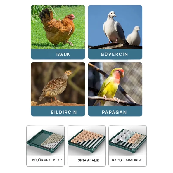 Slim Model 130’lu Gün Sayaçlı Tam Otomatik Kuluçka Makinesi – Yedek Motor + Su Kabı + Qr Videolu Kurulum - Resim 8