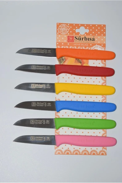 Çaylaravm Sürbısa 061007 Meyve Bıçağı 6 Lı Set Çok Renkli - 4