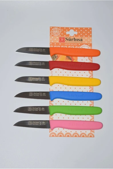 Çaylaravm Sürbısa 061007 Meyve Bıçağı 6 Lı Set Çok Renkli - 2