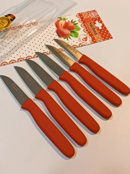 Sürbisa Meyve Takımı Kırmızı (6'lı)61007 7.0 cm - Resim 8