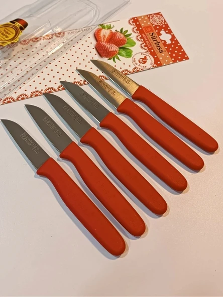 Sürbisa Meyve Takımı Kırmızı (6'lı)61007 7.0 cm - Resim 9